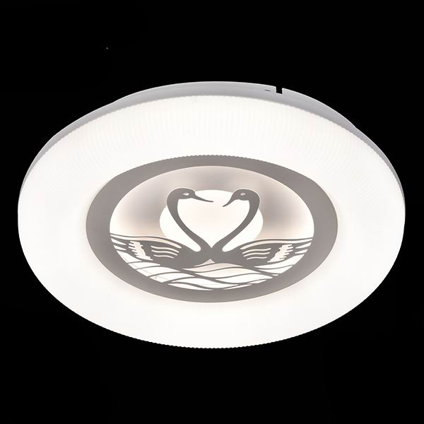 時尚臥室燈 2313