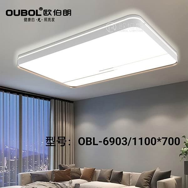 現(xiàn)代家居燈 6903