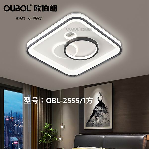 時尚臥室燈 2555